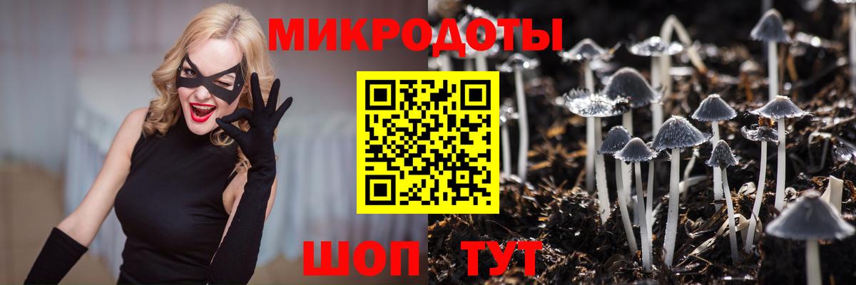 Галлюциногенные грибы GOLDEN TEACHER Чусовой