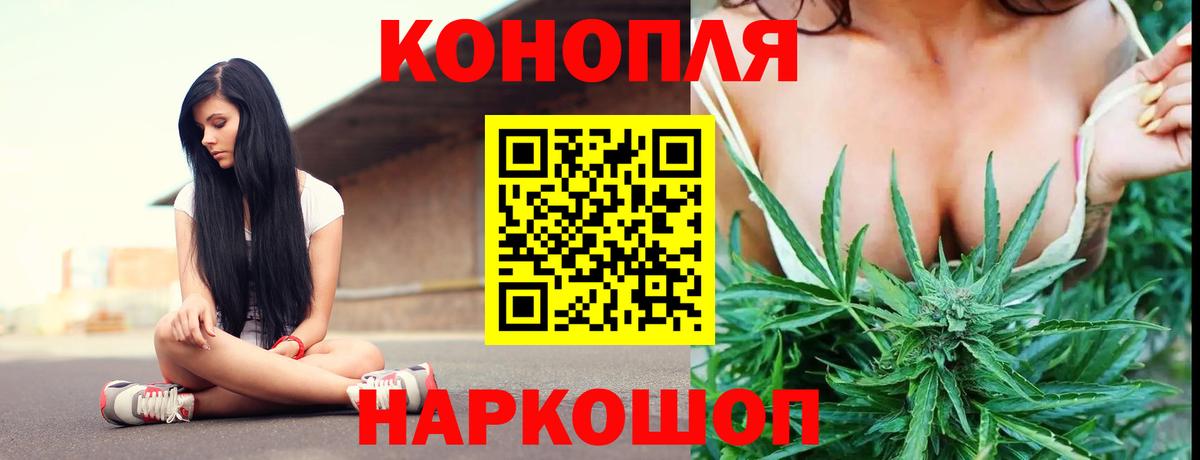 Бошки Шишки Amnesia Чусовой